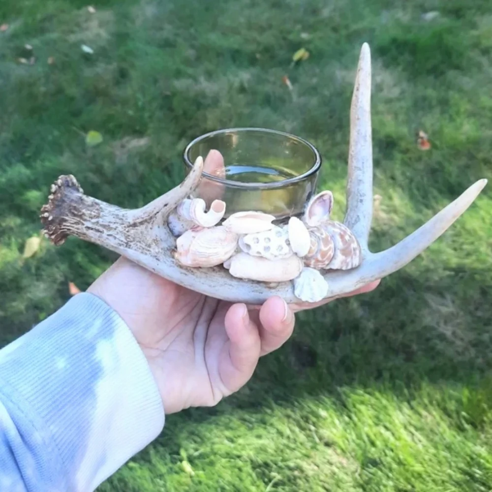 Lot 2 Shell & Antler Candle Holders Handcrafted